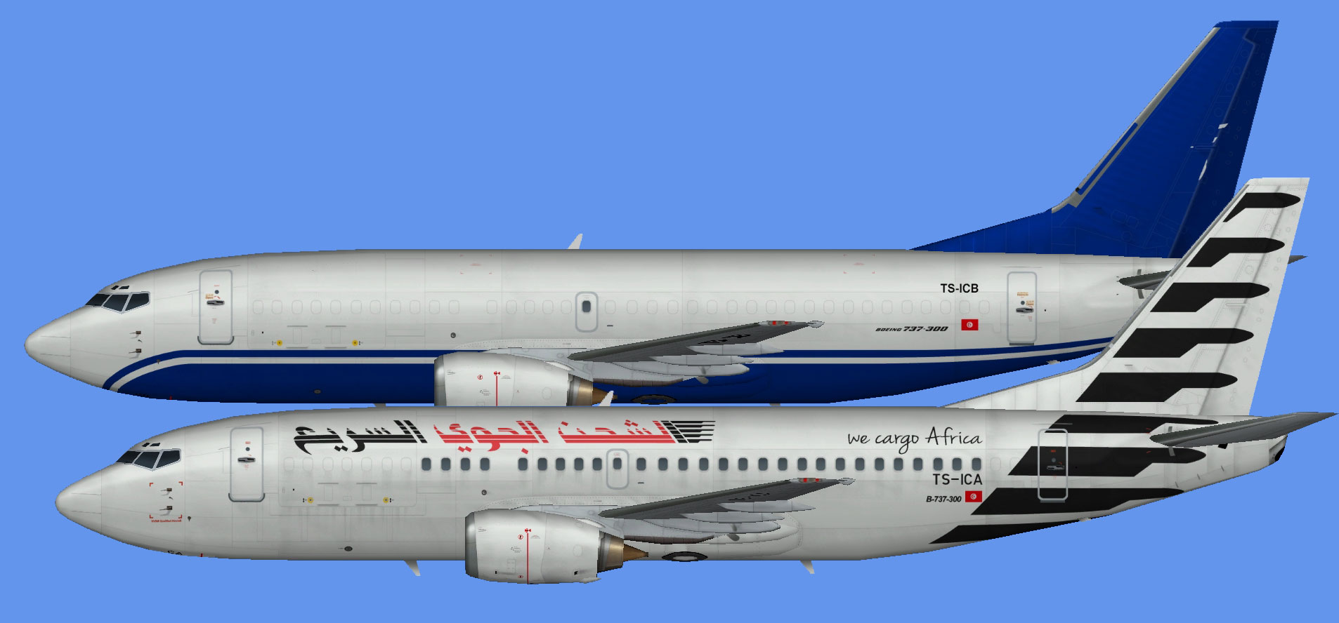 Express Air Cargo Boeing 737-300